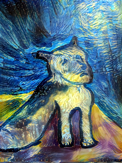 Starry Night Coco