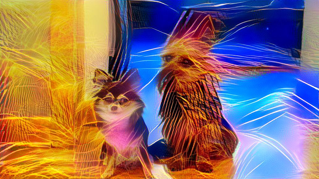 Glitch dogs