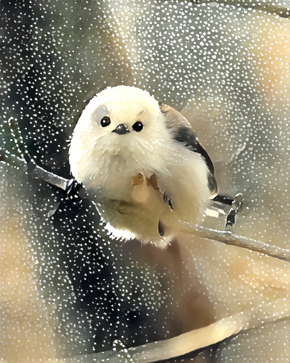 Fluffy Little Cotton Ball ~ Shima Enagas Japan 