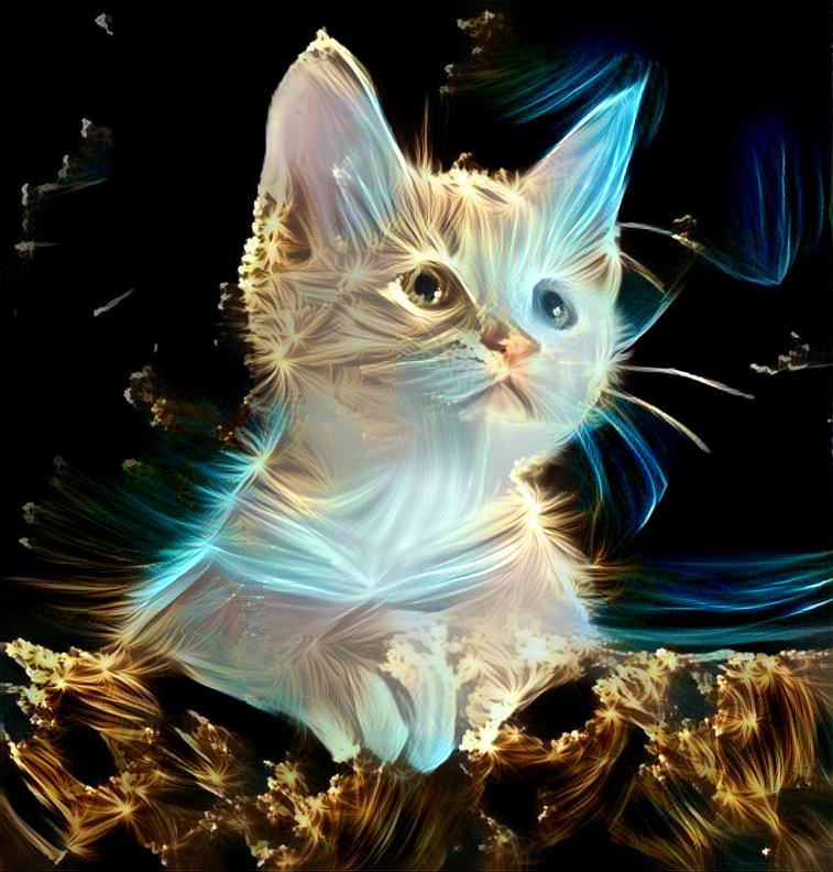 Kitten Glow