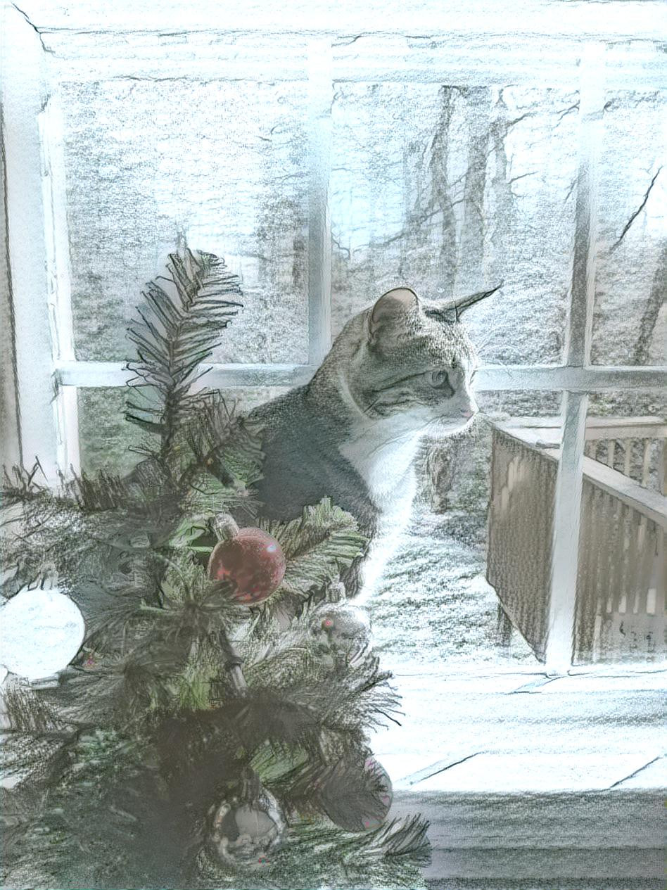 Holiday Window Sketch Cat