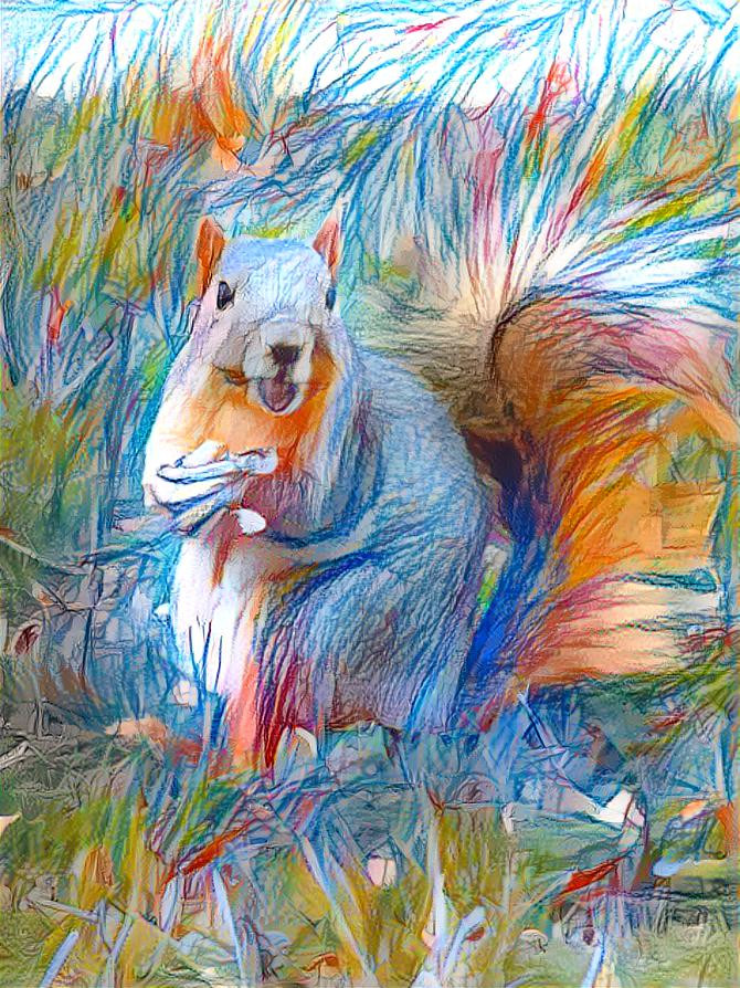 Colorful Squirrel 