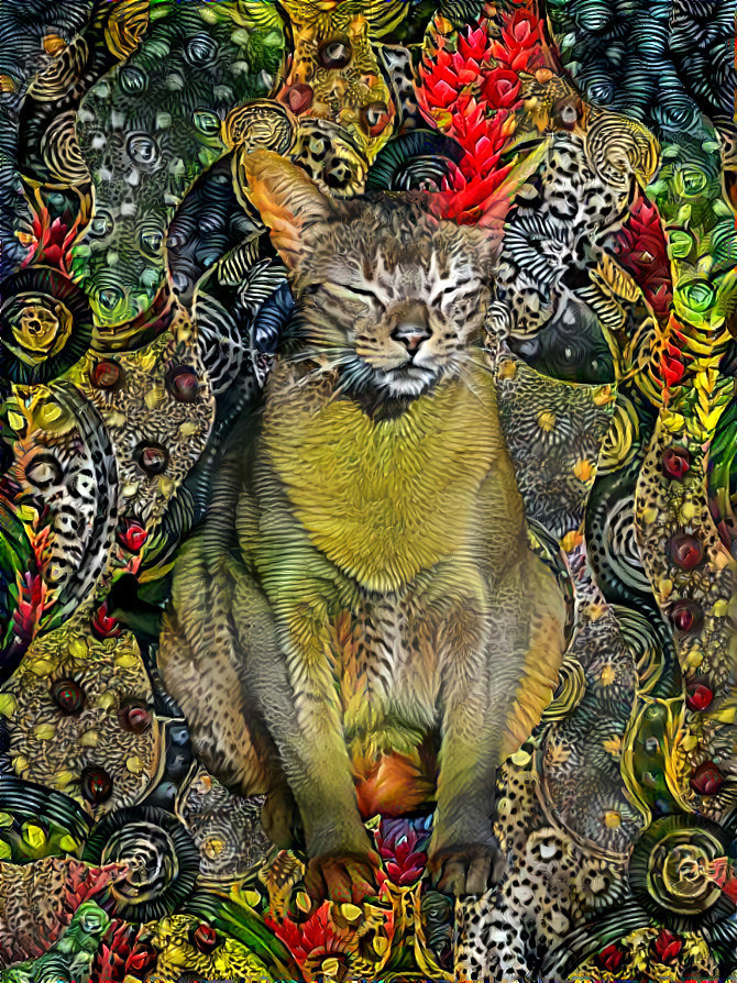 "Jungle cat" _ (210929)