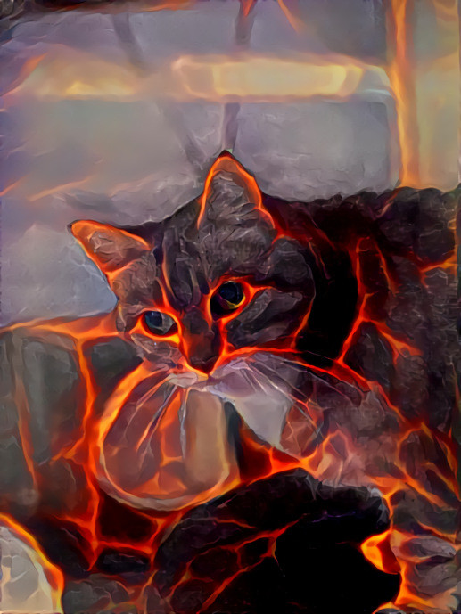 Lava cat