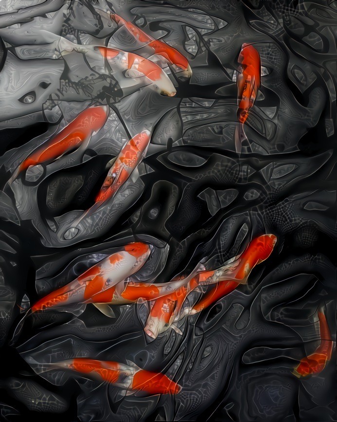 Koi.  Source photo by Elliot Andrews.