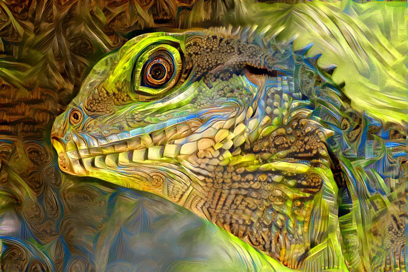 Lizzard