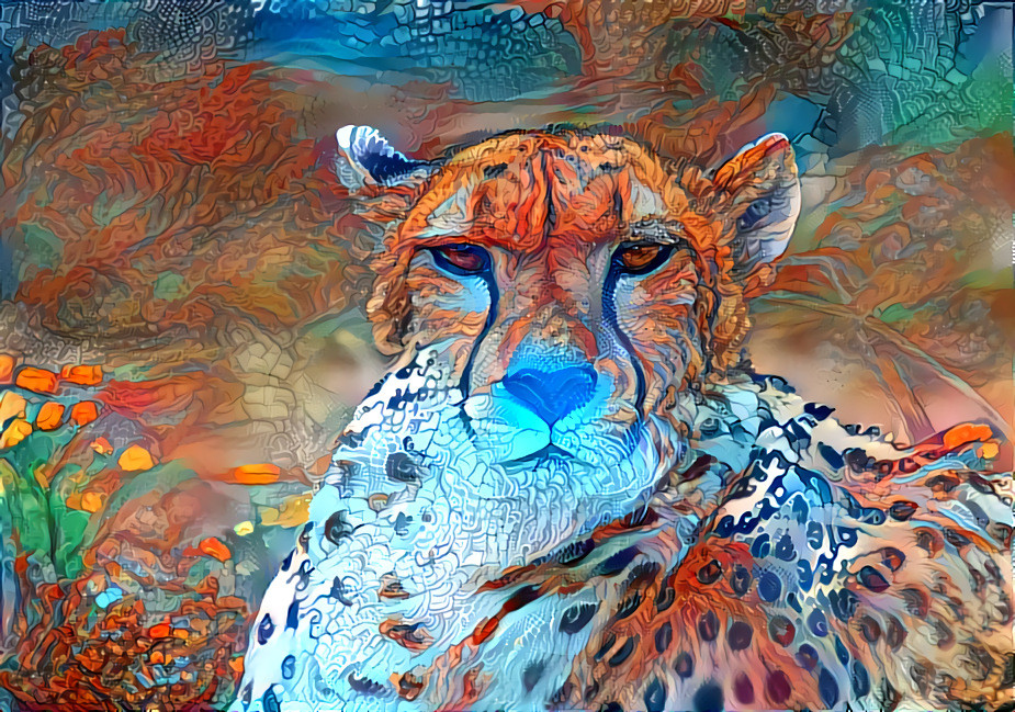 Cheetah 3