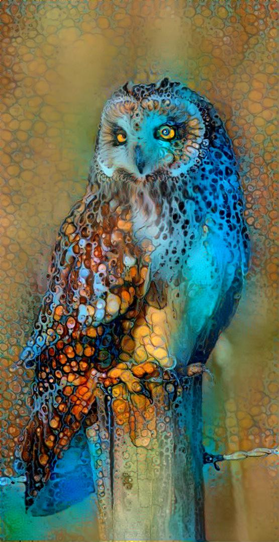 Owl