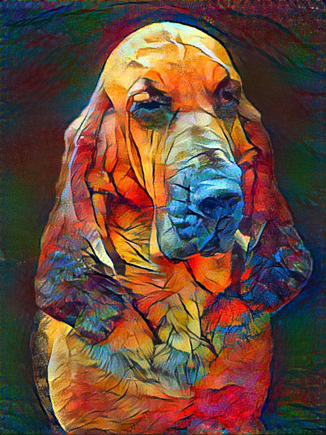 My bloodhound girl Lorenza