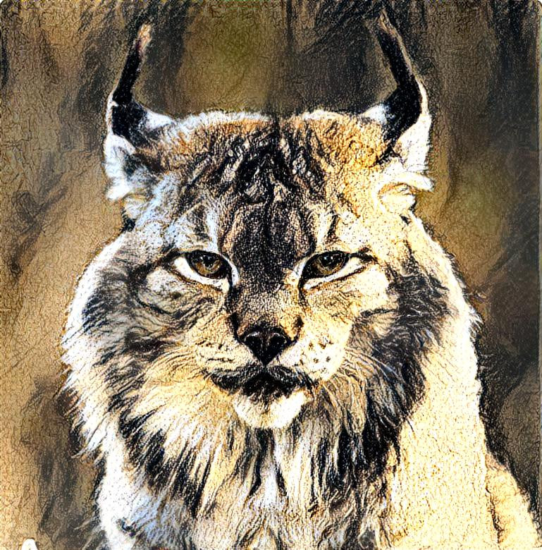 Lynx