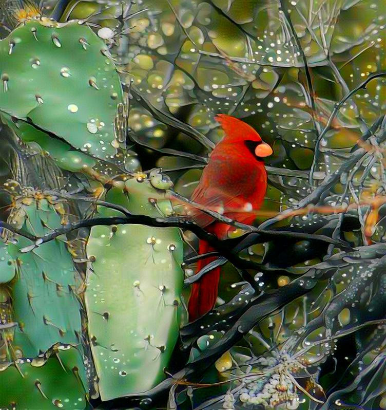 cardinal