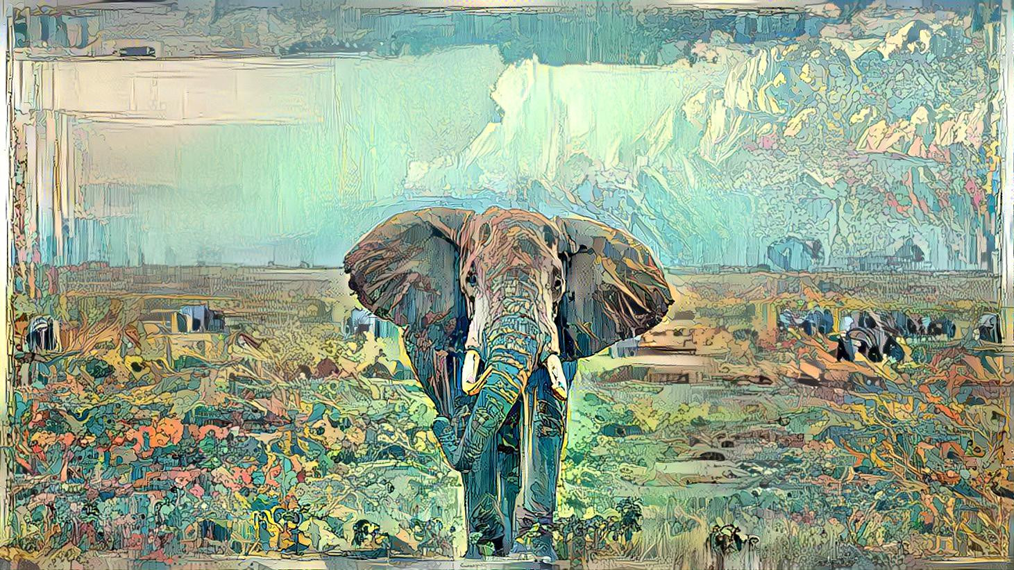 Elephant