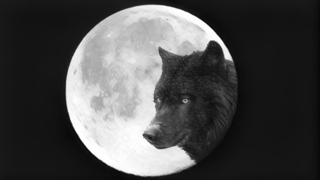 Full moon