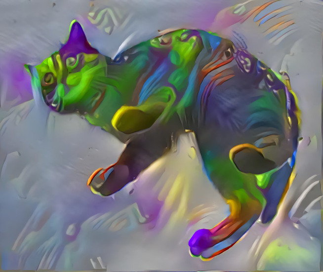 Psychedelic Cat