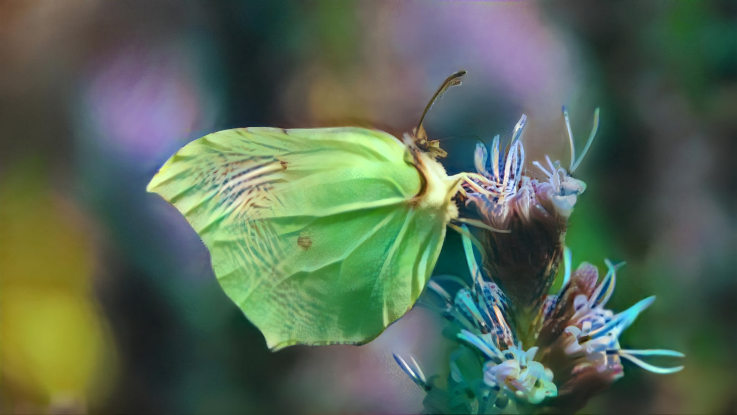 Another edition of the photo contest inside my university's botanic garden: Honorable mentions (1/4)