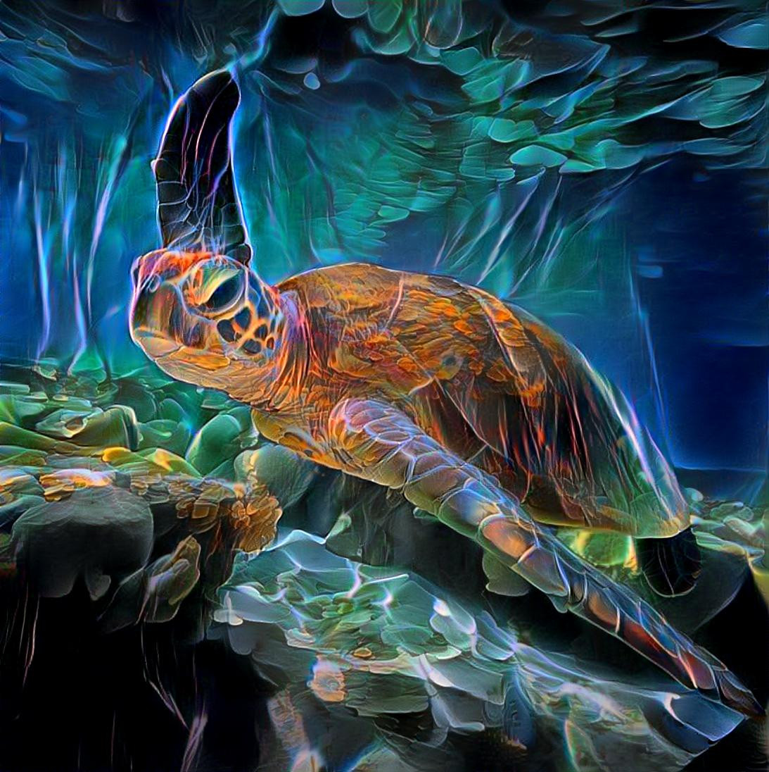 Sea Turtle