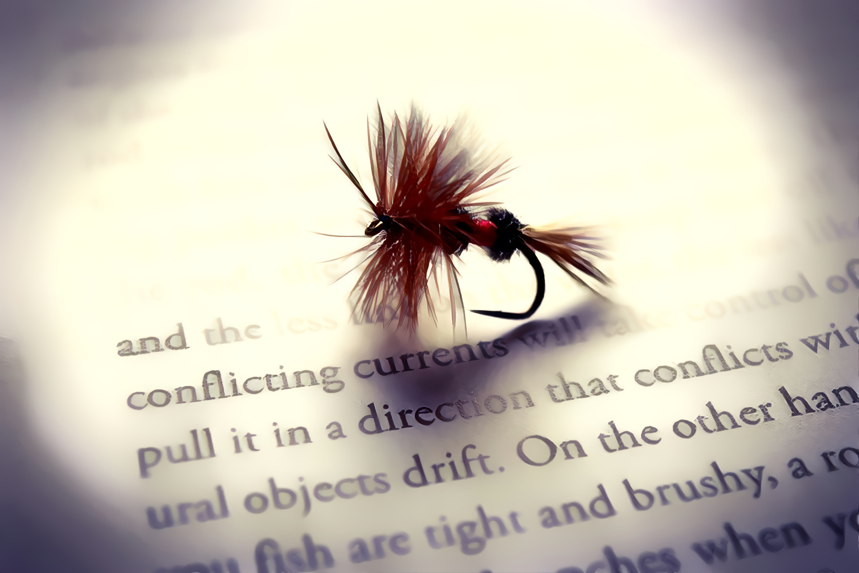 Fly Tied.  Original photo by Jon Sailer on Unsplash.