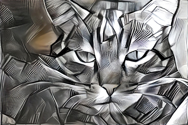 Chrome Kitty