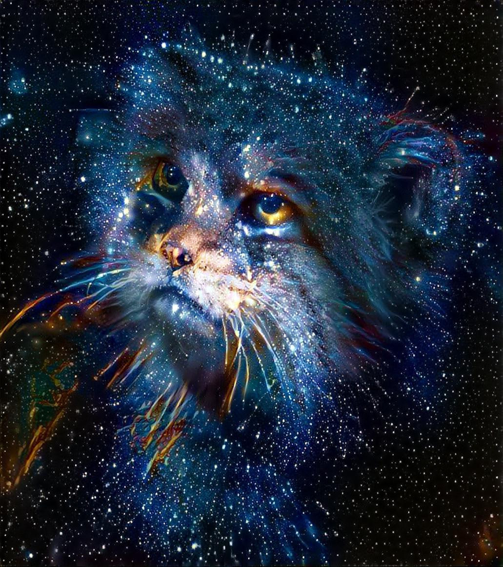 Galactic cat