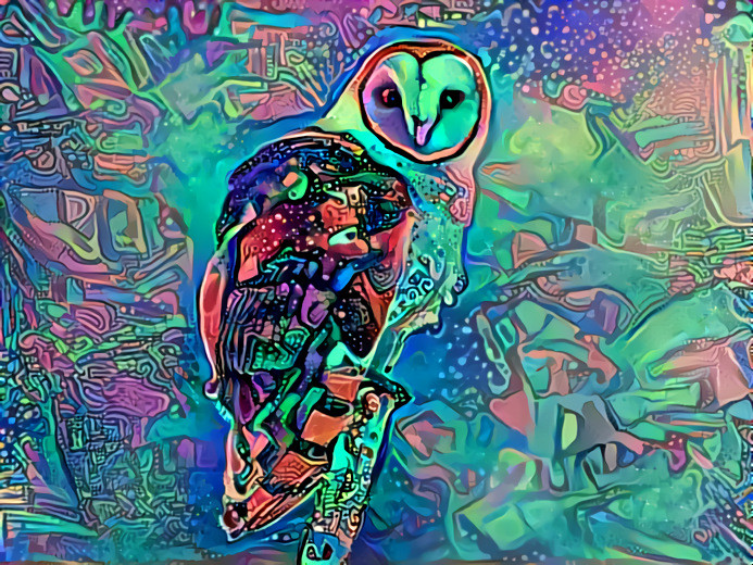 The owl