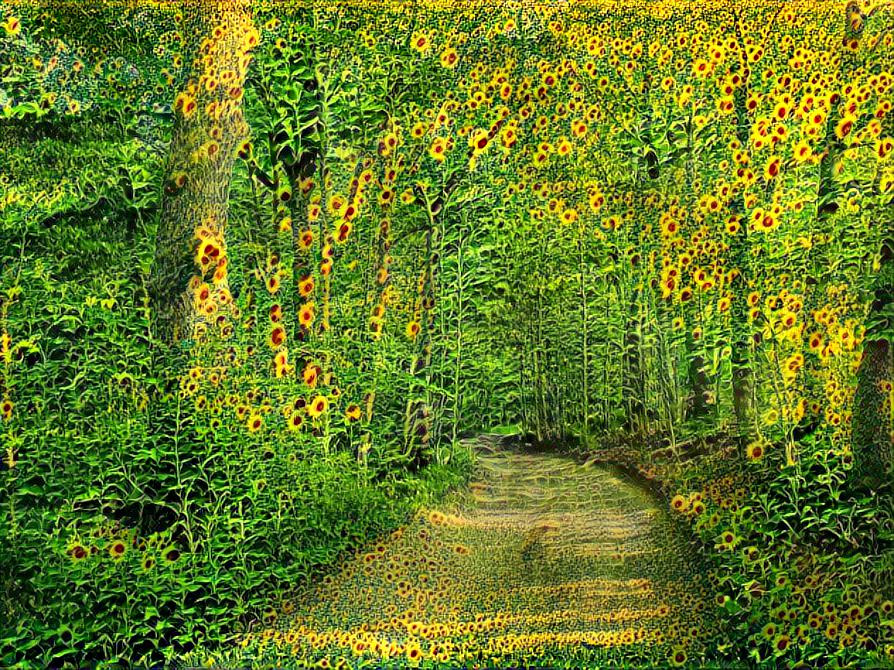 Sunflower Trail