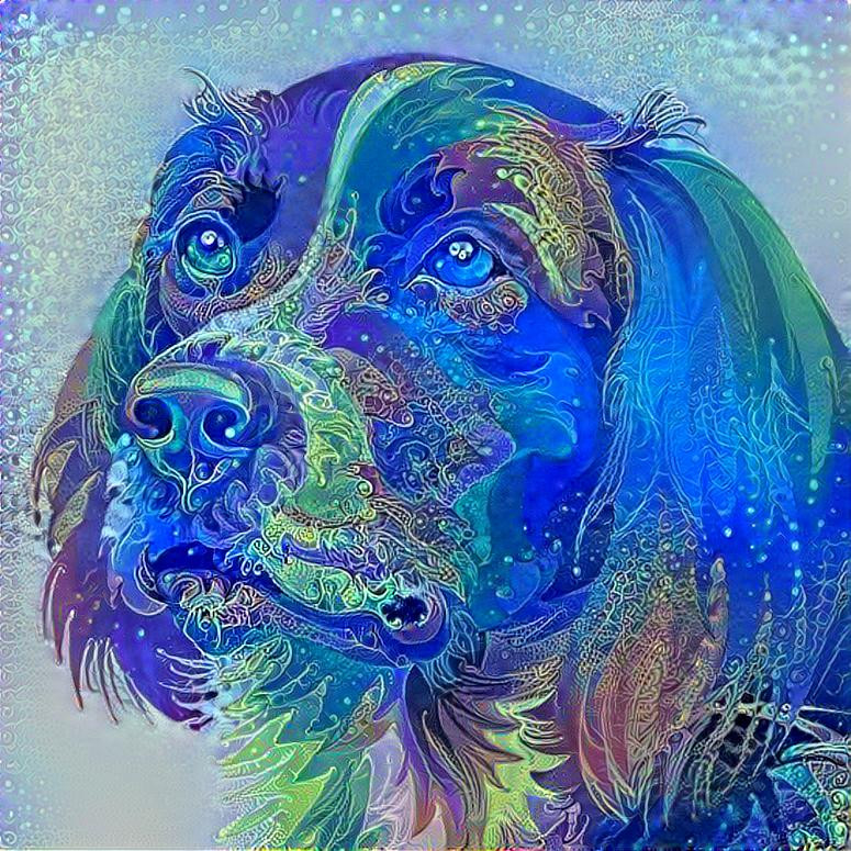 Blue/rainbow dog