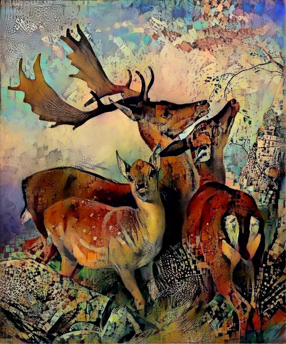 deers