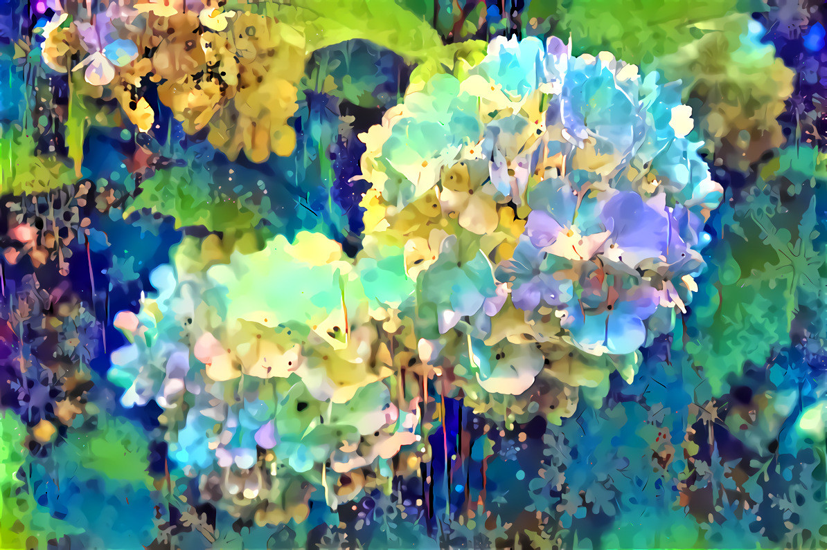 Hydrangea 1 overlaid blue white flower 2