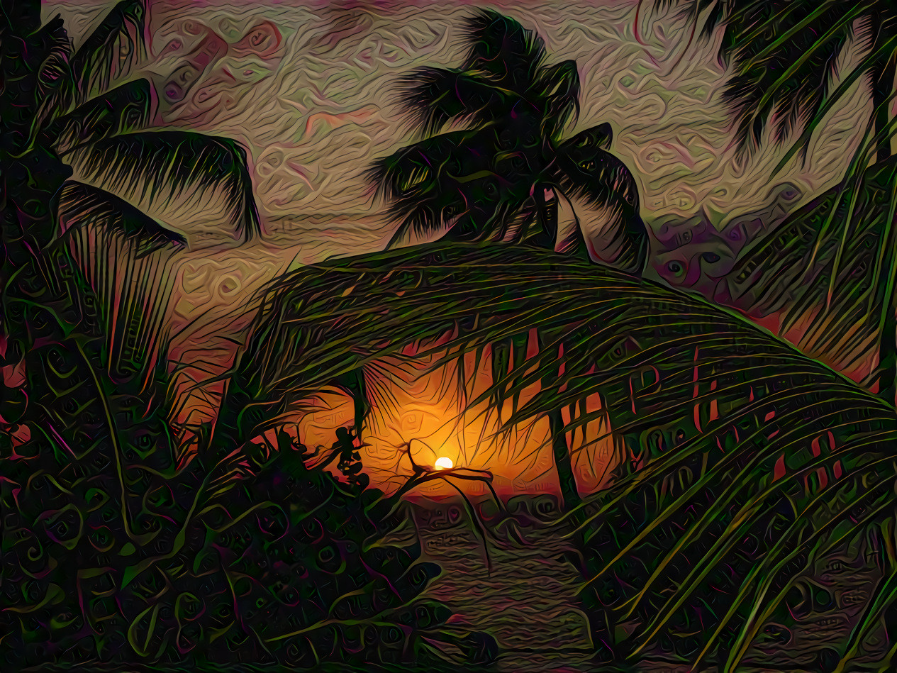 Sunset Beach, Palms by the Sea