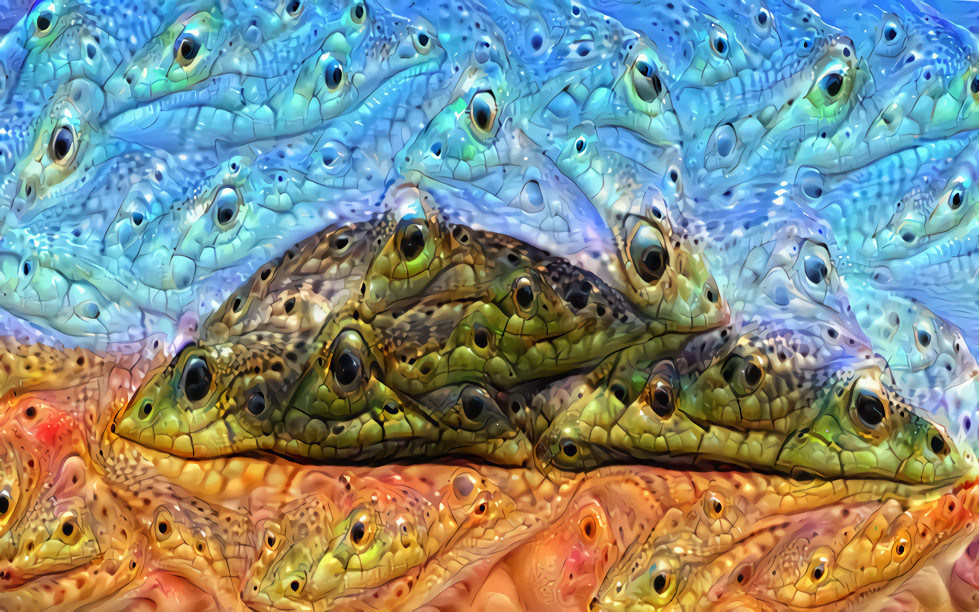 Snake Dimension