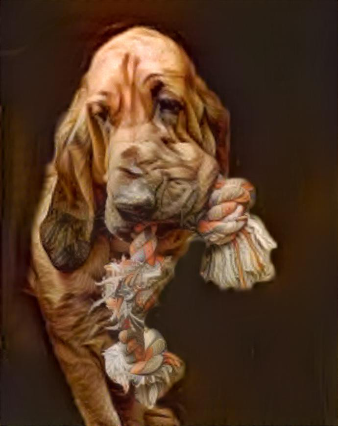 My bloodhound boy Robinson