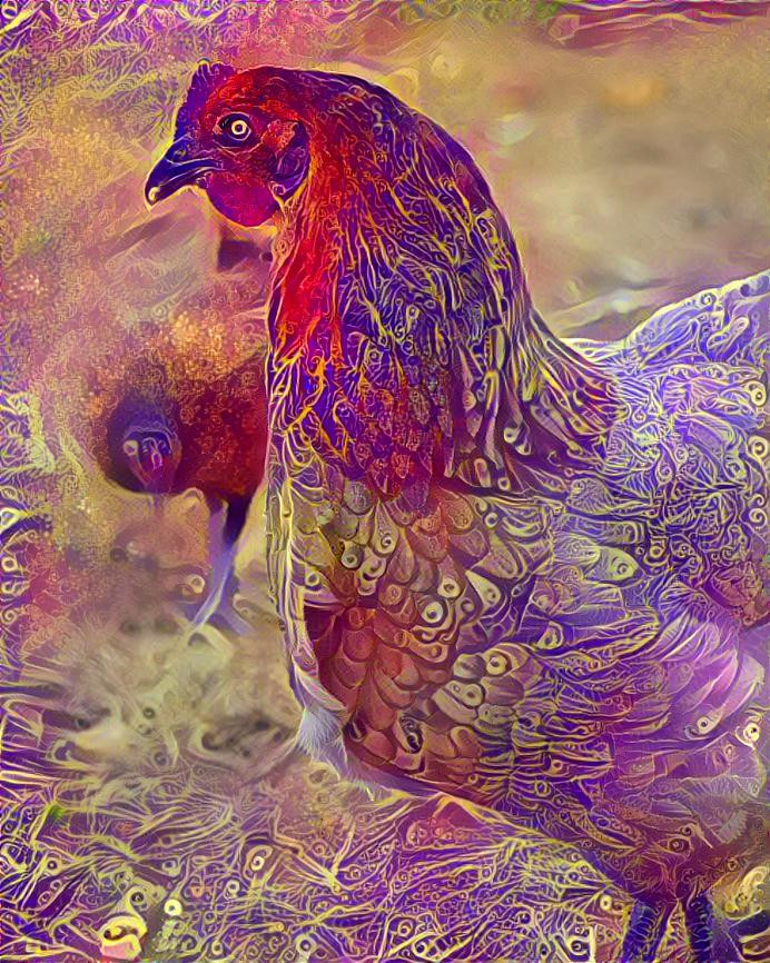 redchicken