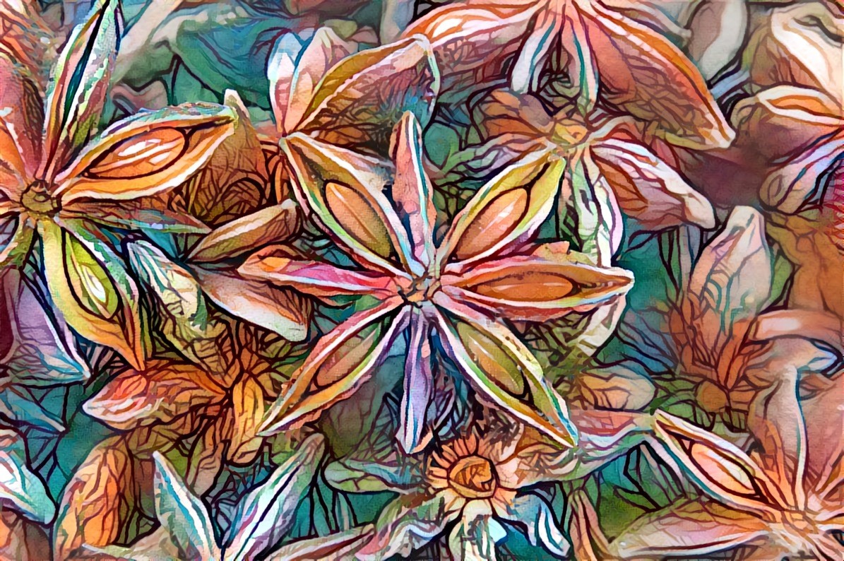 Star anise 1 renarena befunky 653