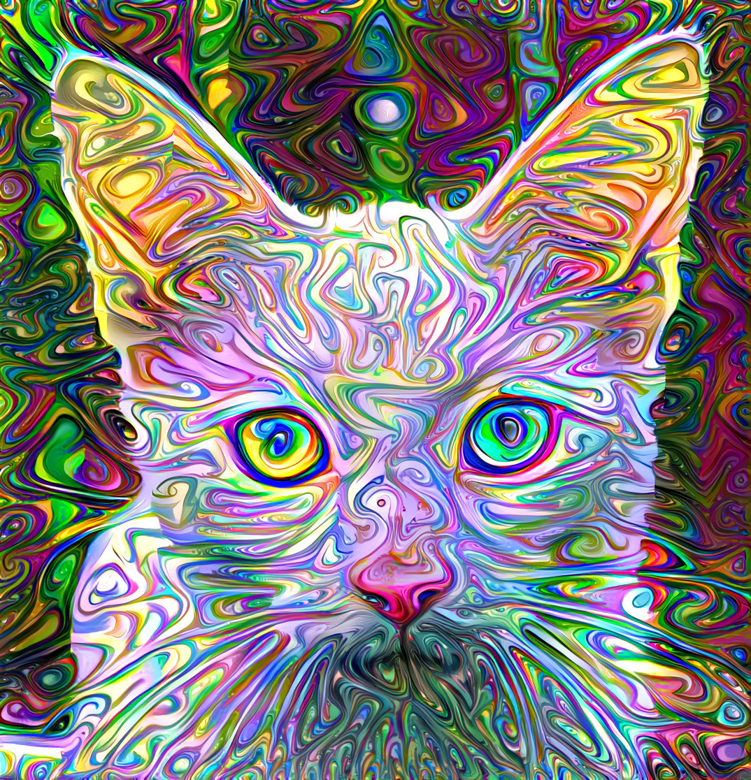 Psychedelic Cat - Style Art by Daniel W. Prust