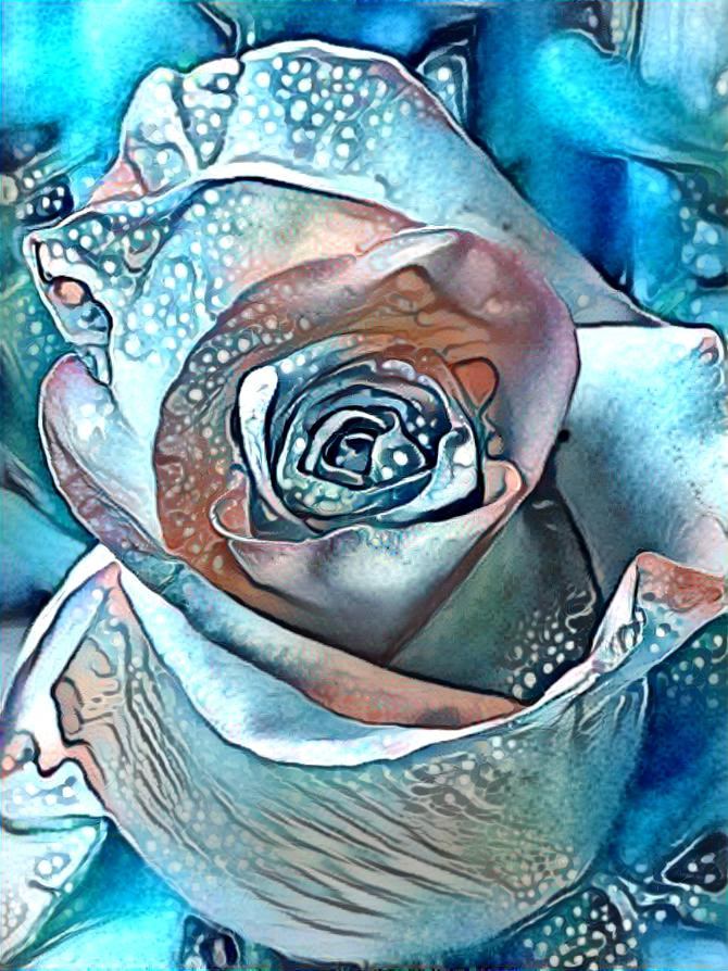 Blue Rose