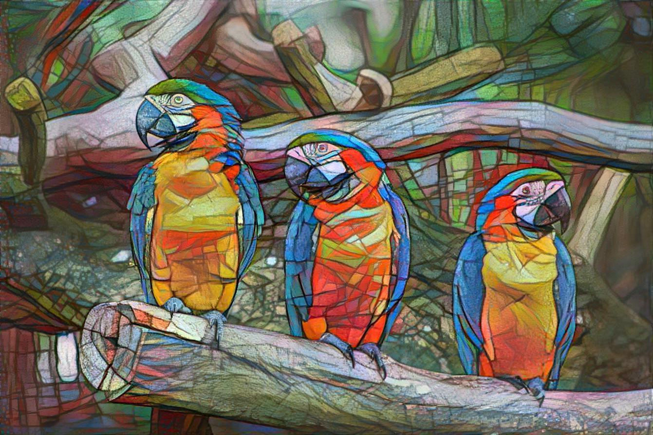 parrots