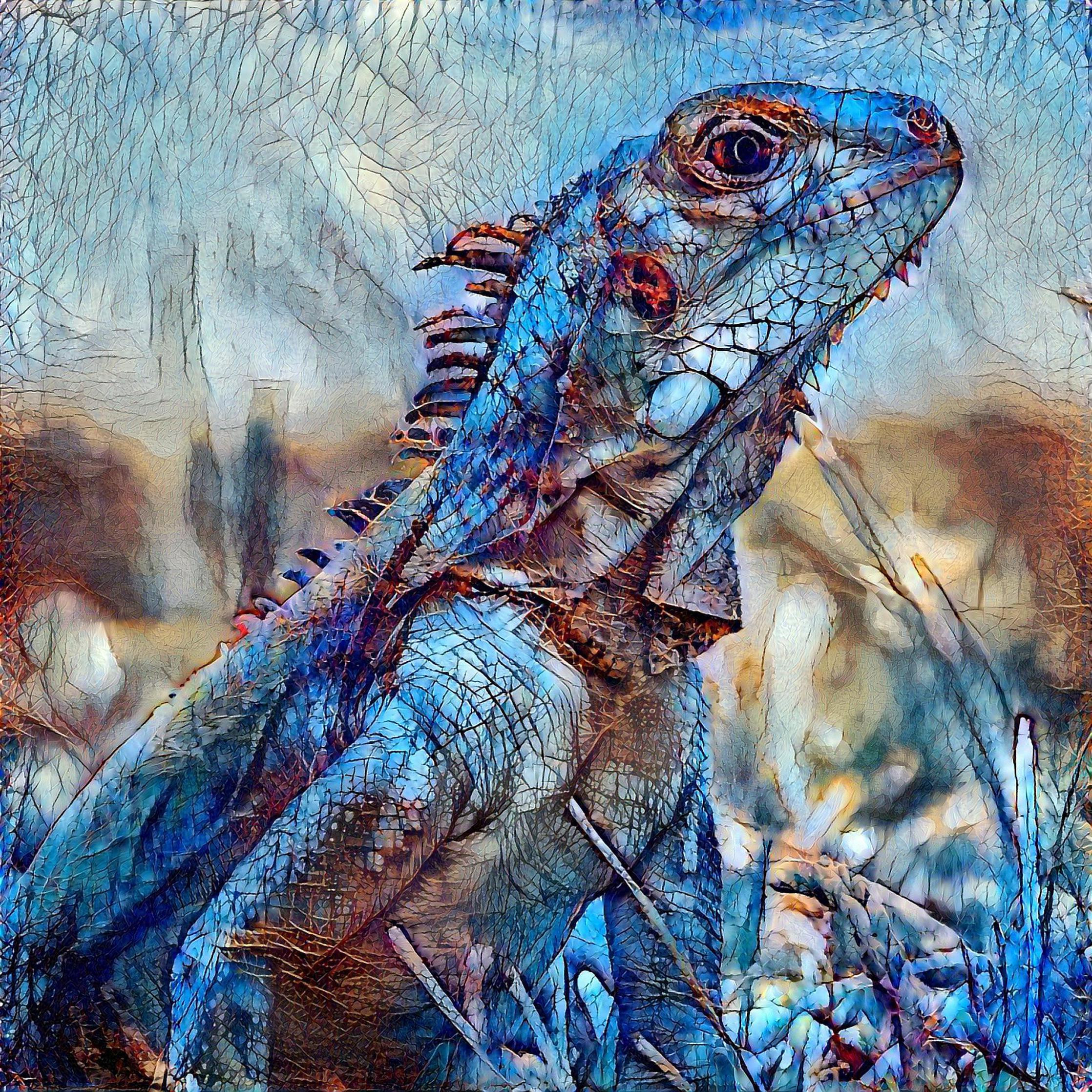 Blue Iguana