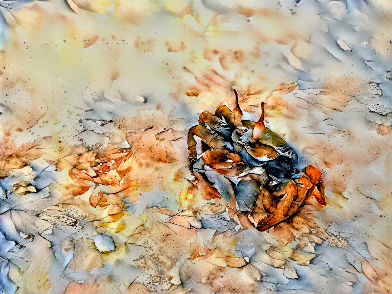 Maldivian Leaf Crab