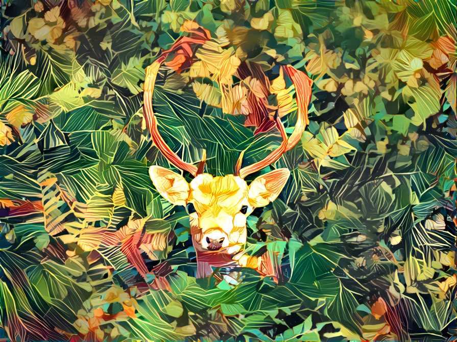 deer