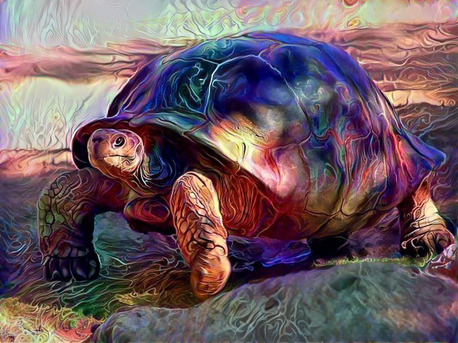 turtle