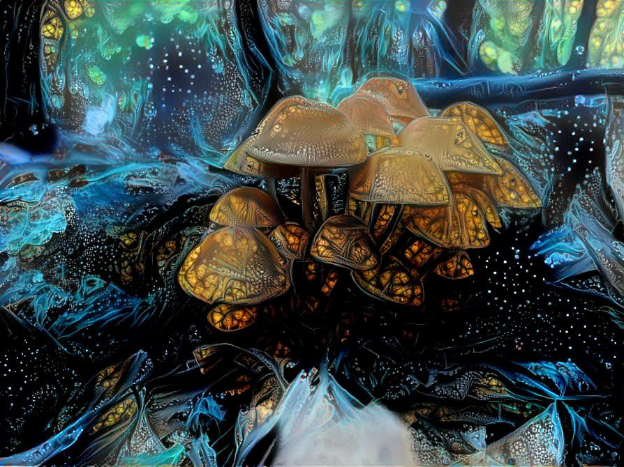 Night Mushroom 