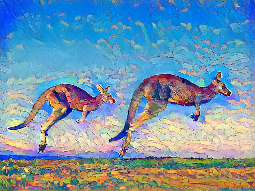 kangaroo