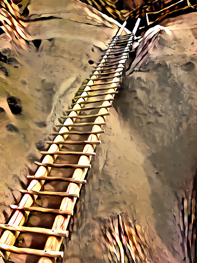 Ladder to Alcove House, Bandelier Nat. Monument