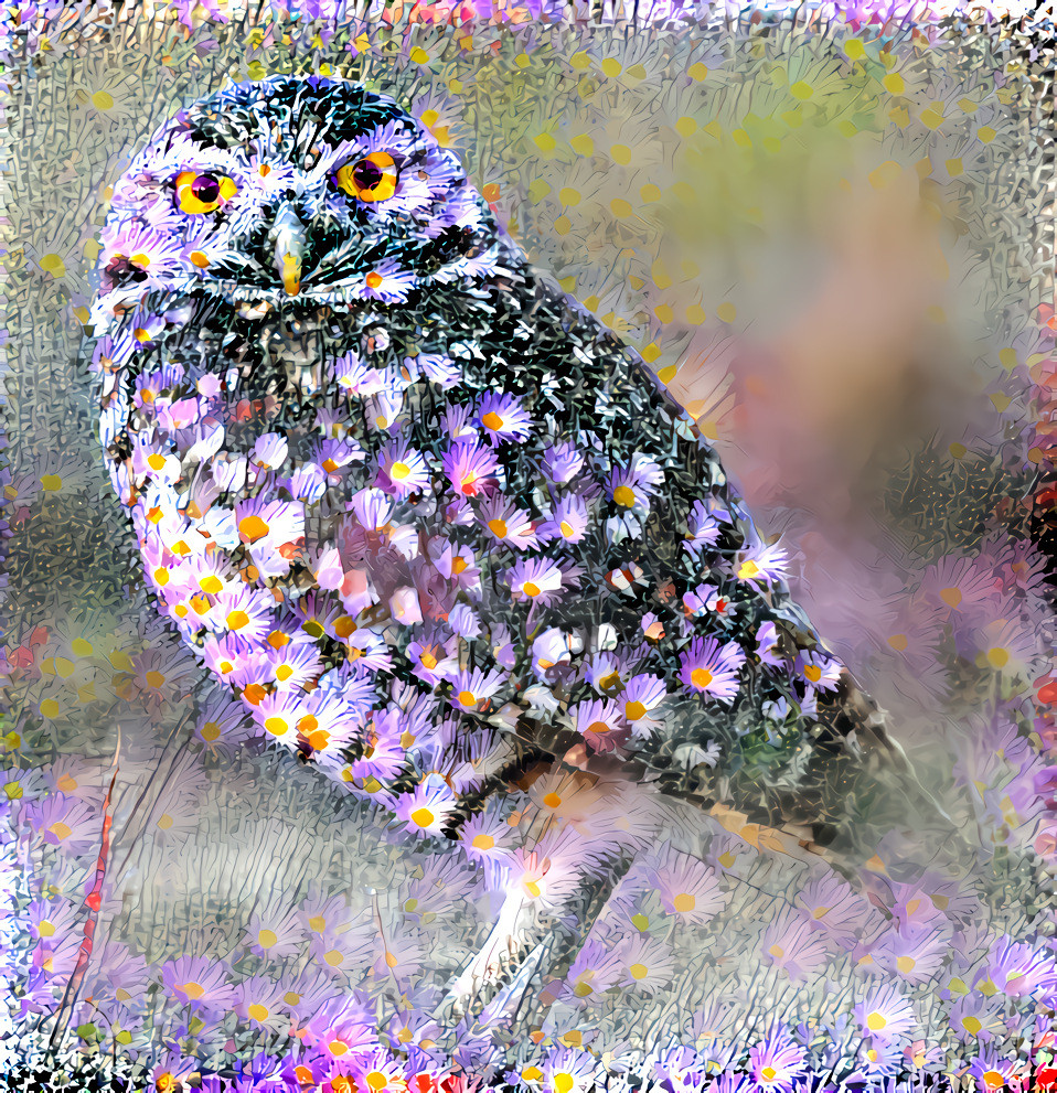 Flower power summer owl ( style by me ).