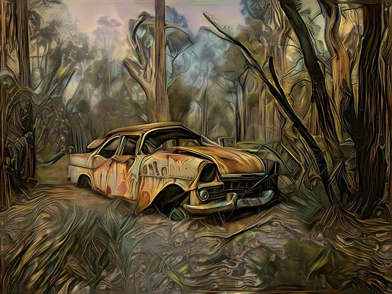 EK Holden found in the bush