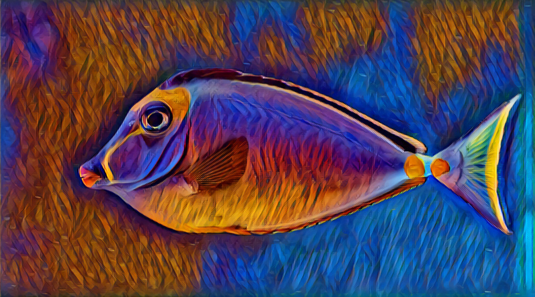 fish