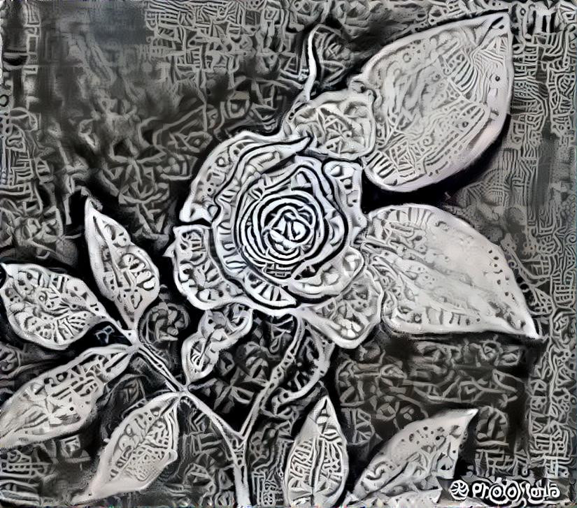 rosedrawingblacknwhite