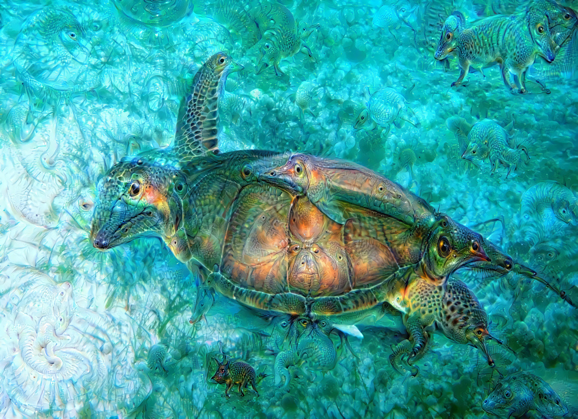 Paul Dirks image, USVI; sea turtle with remora (Mutant turtle wants you to stop staring at him)