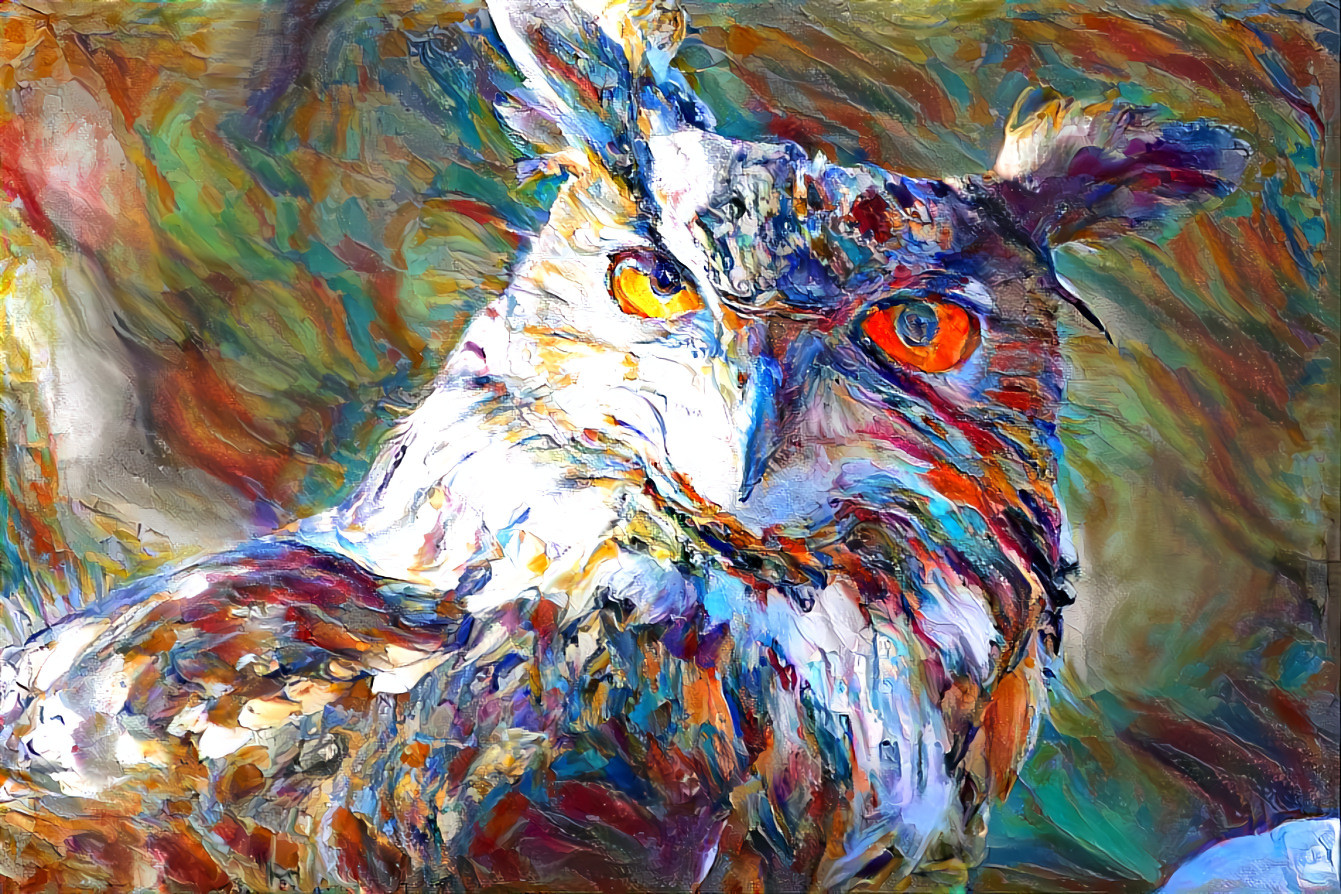 owl