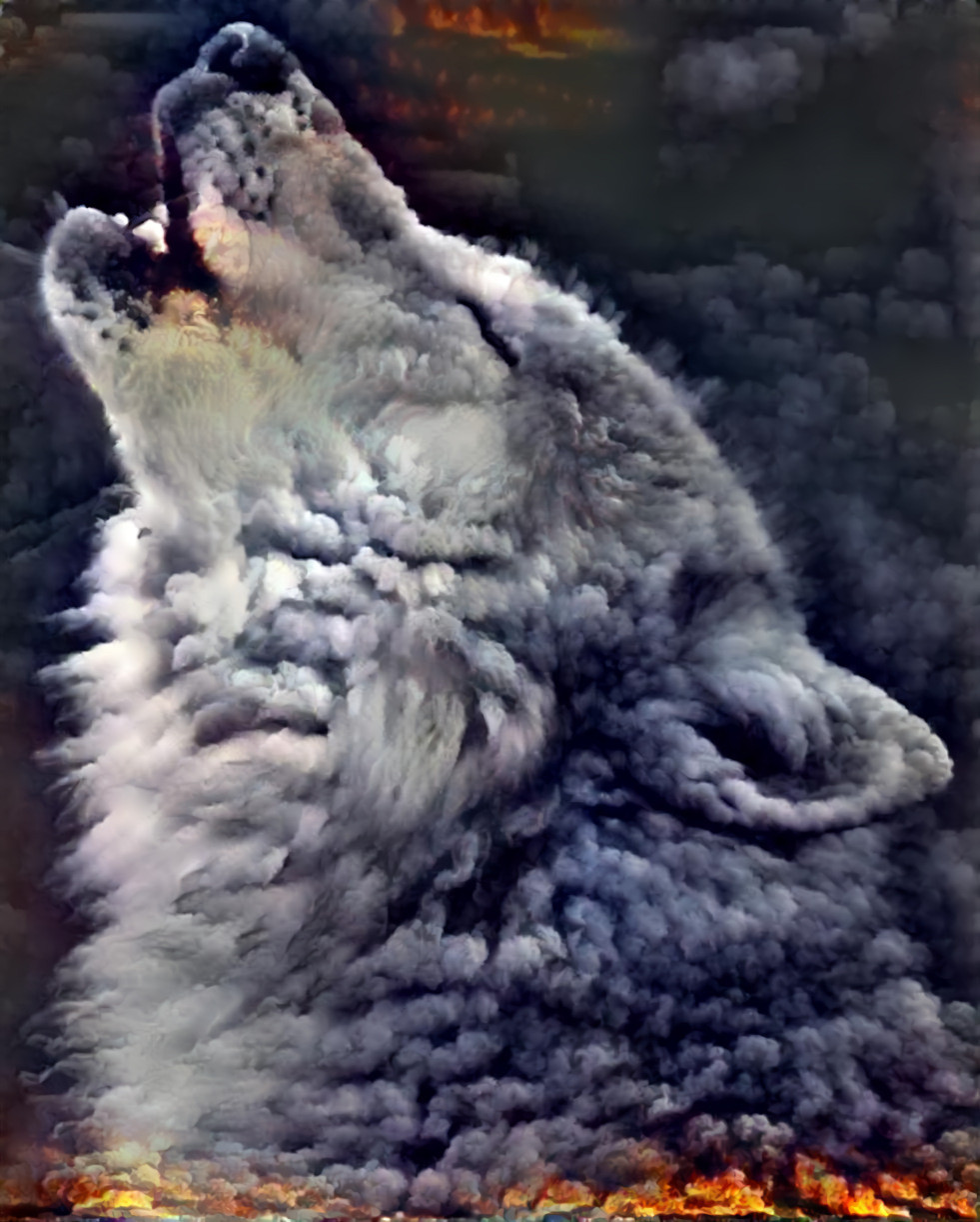 Burning Howl